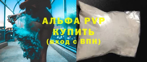 гашик Абаза