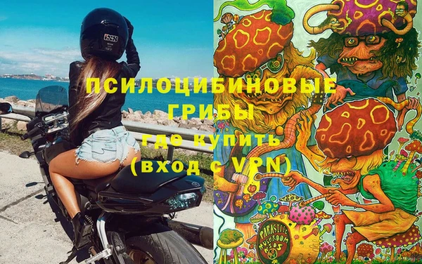 гашик Абаза